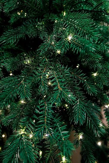 ФИДЖИ с лампочками с деревянной кадушкой (2,3 м)1