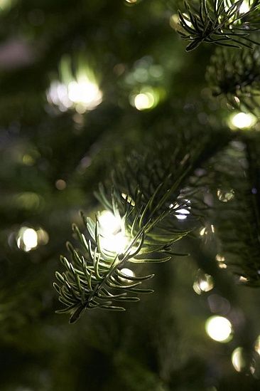 ДАТСКАЯ с лампочками, ель литая искусственная (1,75 м)1