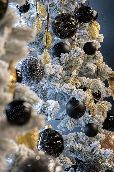 КОРОЛЕВА ТЯНЬ ШАНЯ, ель заснеженная (2,1 м)1