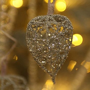 Физалис серебрянные бусины 58 см1