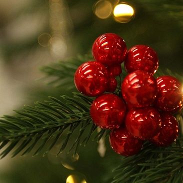 Пучок шариков 2 см 10 шт - 3866 карамельный красный1