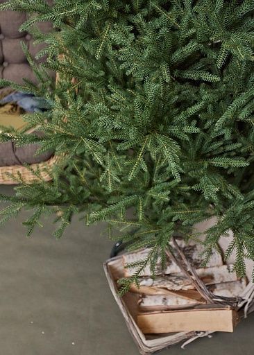 ЛЕСНАЯ СИМФОНИЯ, ель литая (2,1 м)1