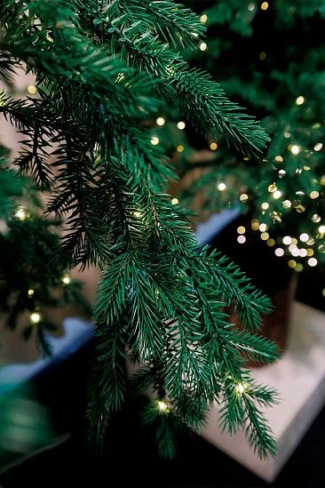 ФИДЖИ с лампочками с деревянной кадушкой (2,3 м)1