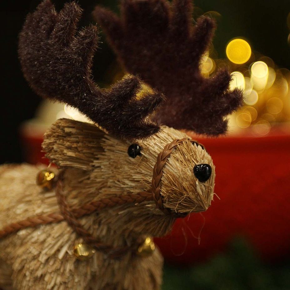 Лось в упряжке 23 см2