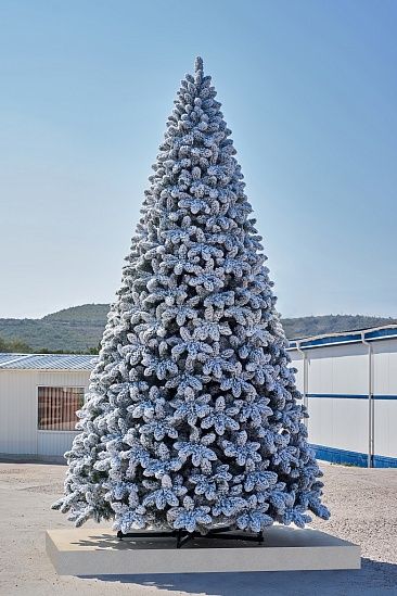 АМУРСКАЯ, ель высотная заснеженная (3,0 м)1