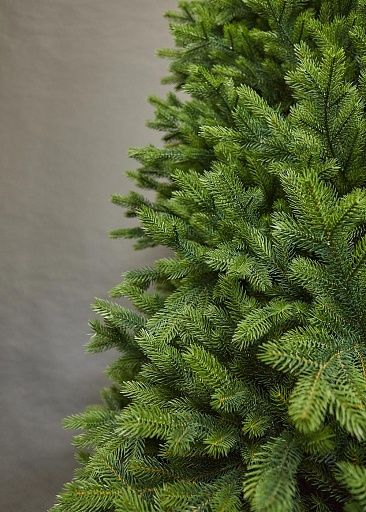 ВОРОНЦОВСКАЯ, ель литая (2,1 м)1