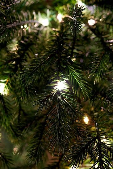 ФИДЖИ с лампочками с деревянной кадушкой (2,3 м)1