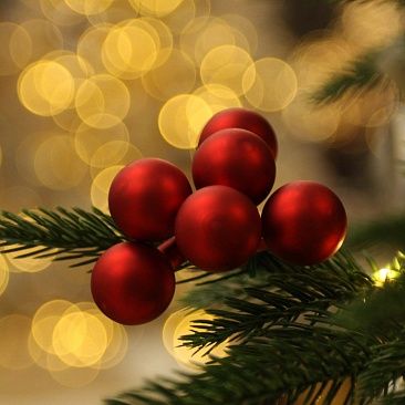 Пучок красный 3 см 6 шт, стекло 80971