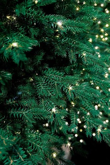 МУРМАНСКАЯ, ель литая с лампочками (2,25 м)1