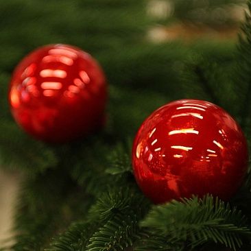 Набор шаров база карамельный красный 7 см 8 шт, стекло1