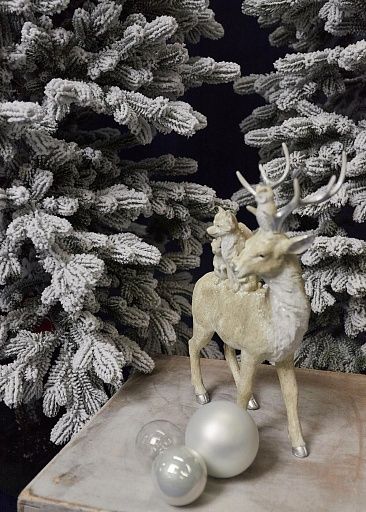 КОРОЛЕВА ТЯНЬ ШАНЯ, ель заснеженная (2,1 м)1