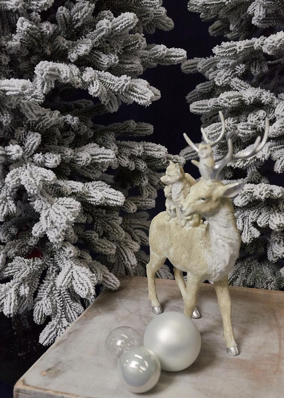 КОРОЛЕВА ТЯНЬ ШАНЯ, ель заснеженная (2,1 м)2