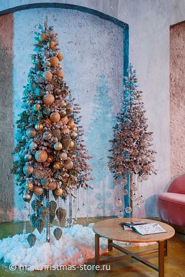 КОРОЛЕВА ТЯНЬ ШАНЯ, ель заснеженная (2,1 м)1