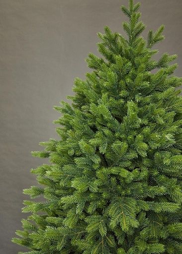 ВОРОНЦОВСКАЯ, ель литая (2,1 м)1