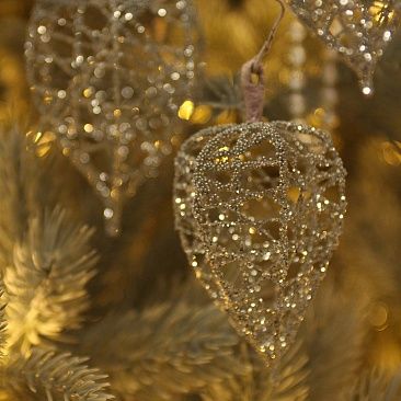 Физалис серебрянные бусины 58 см1