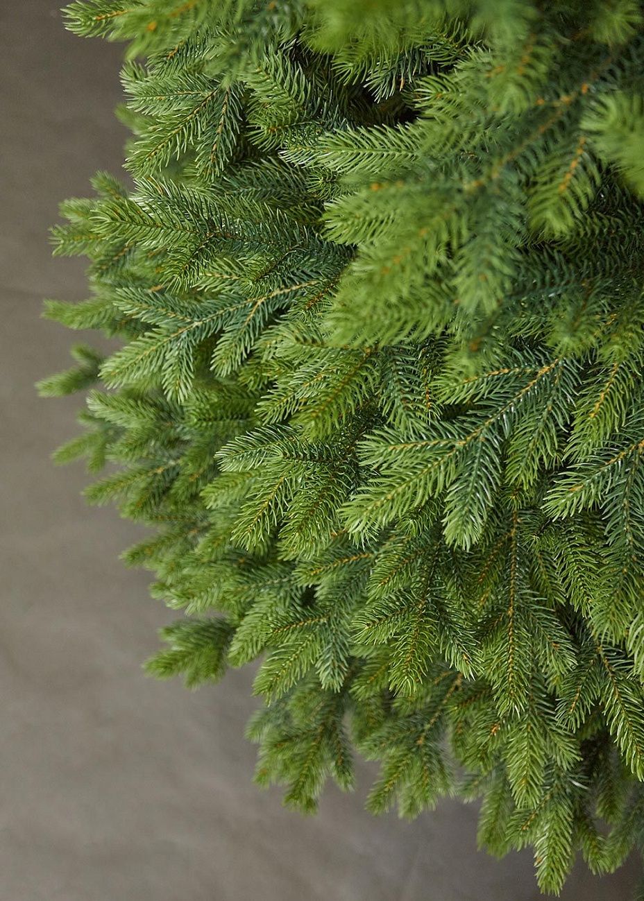 ВОРОНЦОВСКАЯ, ель литая (2,1 м)2