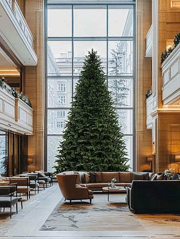 ВЕРСАЛЬСКАЯ, ель высотная (5,0 м)
