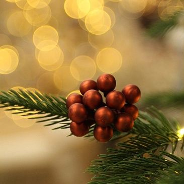 Пучок коричневый 1,5 см 12 шт, стекло 78501