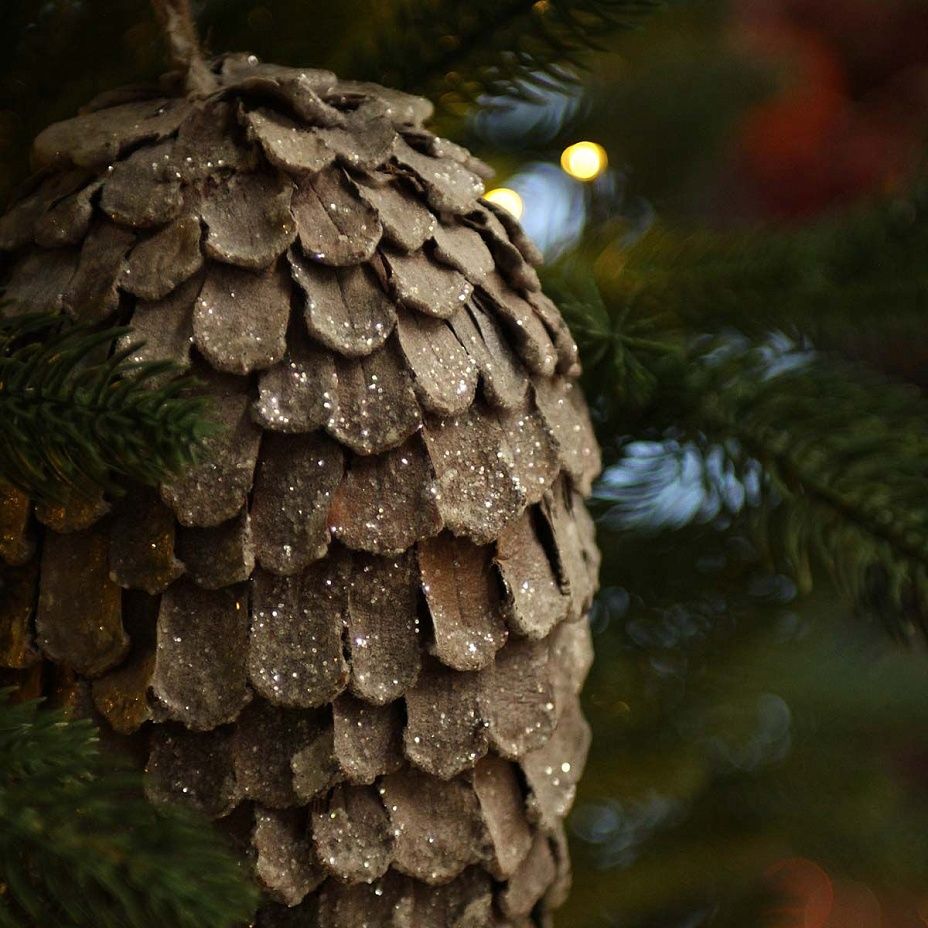 Шишка большая натуральная 23 см 62512